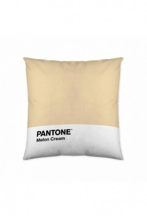 Pagalvėlės užvalkalas Melon...