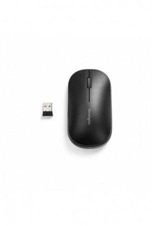 Belaidė pelė Kensington...