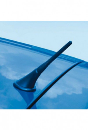 Automobilinė antena...