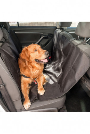 Apsauginis automobilio...