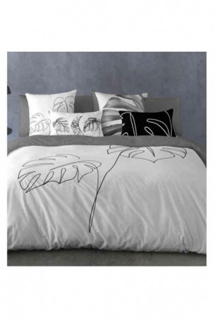 Šiaurės šalių viršelis...