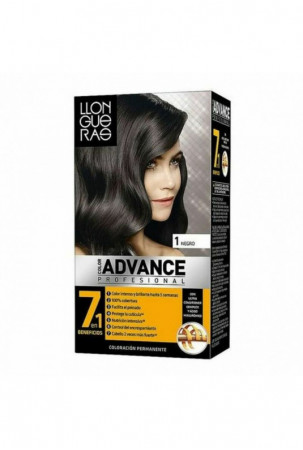 Ilgalaikiai dažai Llongueras