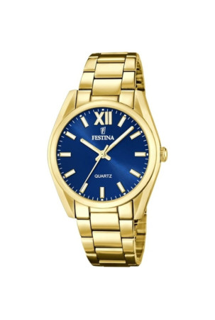 Laikrodis vyrams Festina...