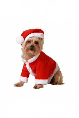 Šuns kostiumas Senis Šaltis