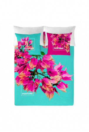 Šiaurės šalių viršelis...