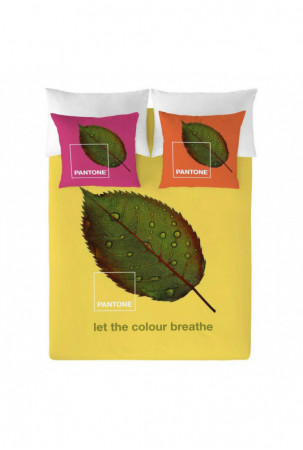 Šiaurės šalių viršelis...