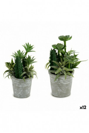 Dekoratyvinis augalas...