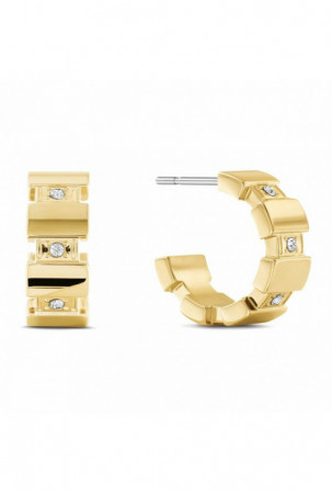 Moteriški auskarai Tommy...