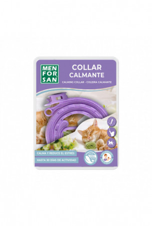 Kačių kraiko dėžutė...