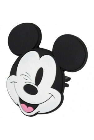 Automobilio oro gaiviklis...