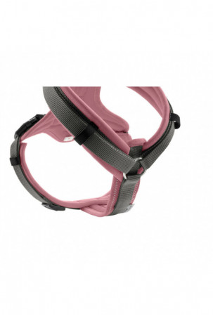 Šuns pakinktai Hunter...