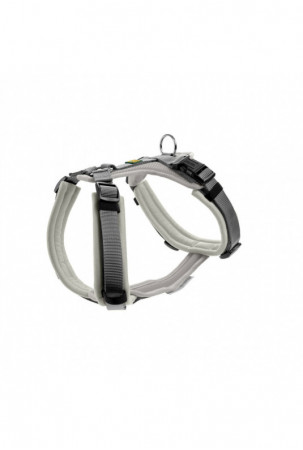 Šuns pakinktai Hunter...