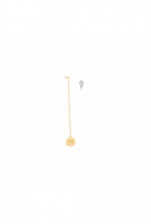 Moteriški auskarai Secrecy...