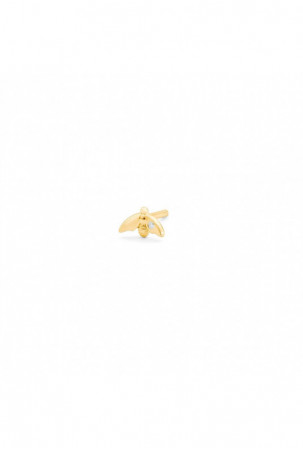 Moteriški auskarai Secrecy...