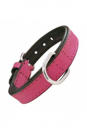 Šuns antkaklis Gloria...