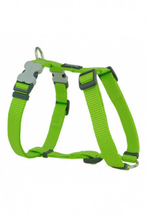 Šuns pakinktai Red Dingo...