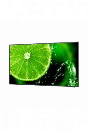 Monitorius NEC 60005052 49"...