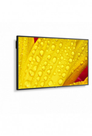 Monitorius NEC 60005048 43"...