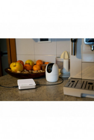 Nepertraukiamo Maitinimo...