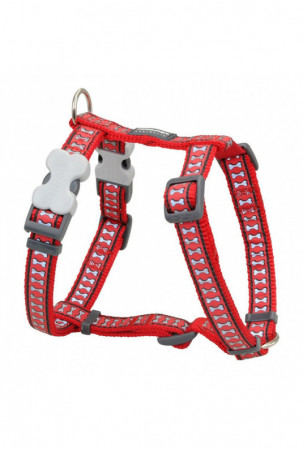 Šuns pakinktai Red Dingo...