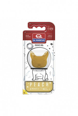 Automobilio oro gaiviklis...