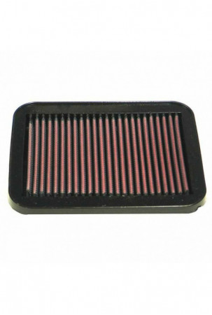 Oro filtras K&N KN33-2162