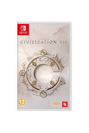 Switch vaizdo žaidimas...