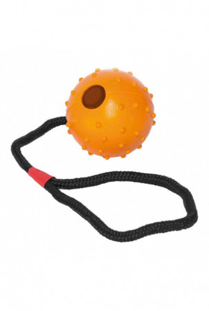 Šunų kramtomasis žaislas...