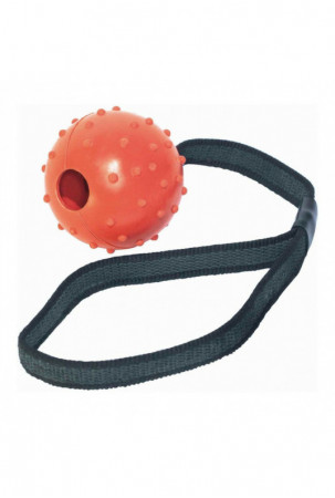 Šunų kramtomasis žaislas...