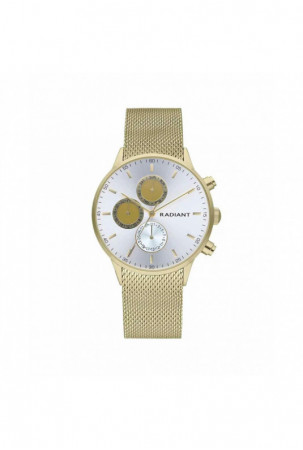 Laikrodis vyrams Radiant...