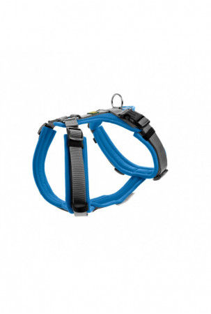 Šuns pakinktai Hunter...