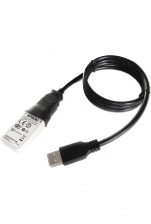 Etiketės spausdinimui Epson...