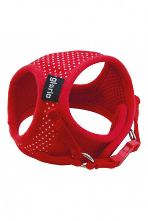 Šuns pakinktai Gloria...