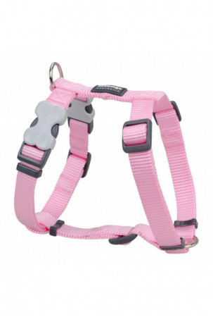 Šuns pakinktai Red Dingo...