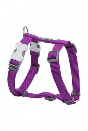 Šuns pakinktai Red Dingo...