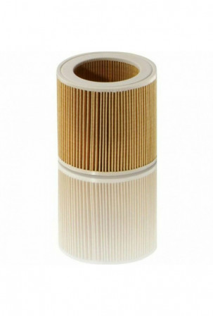 Filtras dulkių siurbliui...