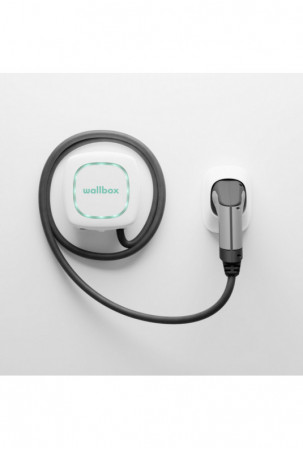 Įkrovimo stovas Wallbox...