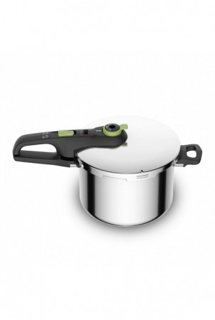 Greitpuodis Tefal P2580