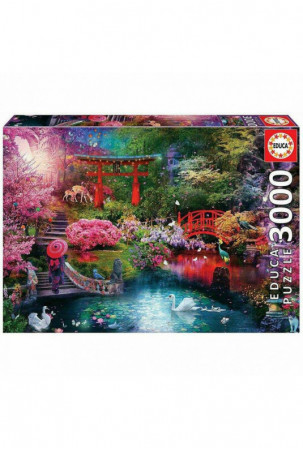 Dėlionė Educa 19282 3000 pcs