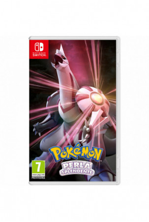 Switch vaizdo žaidimas...