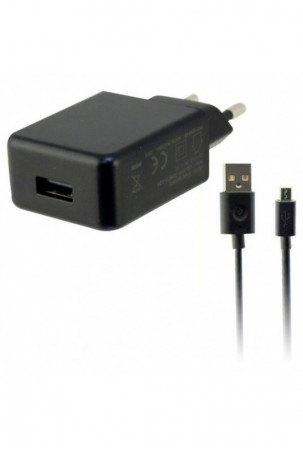Sieninis įkroviklis + USB...