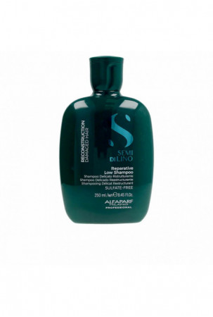 Šampūnas Alfaparf Milano...