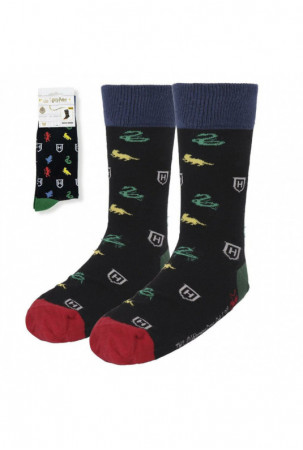 Kojinės Harry Potter 38-45