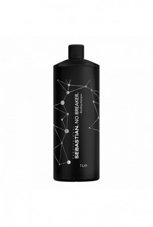 Šampūnas Sebastian...