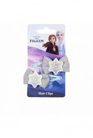 Plaukų segtukai Inca Clips...