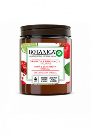 Aromatizuota žvakė Air Wick...