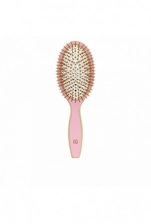 Atpainiojantis šepetys Ilū...