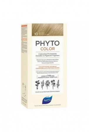 Nuolatinės spalvos dažymo...