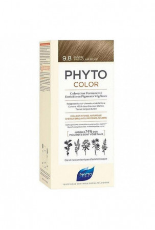 Nuolatinės spalvos dažymo...