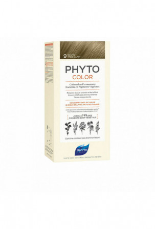 Nuolatinės spalvos dažymo...